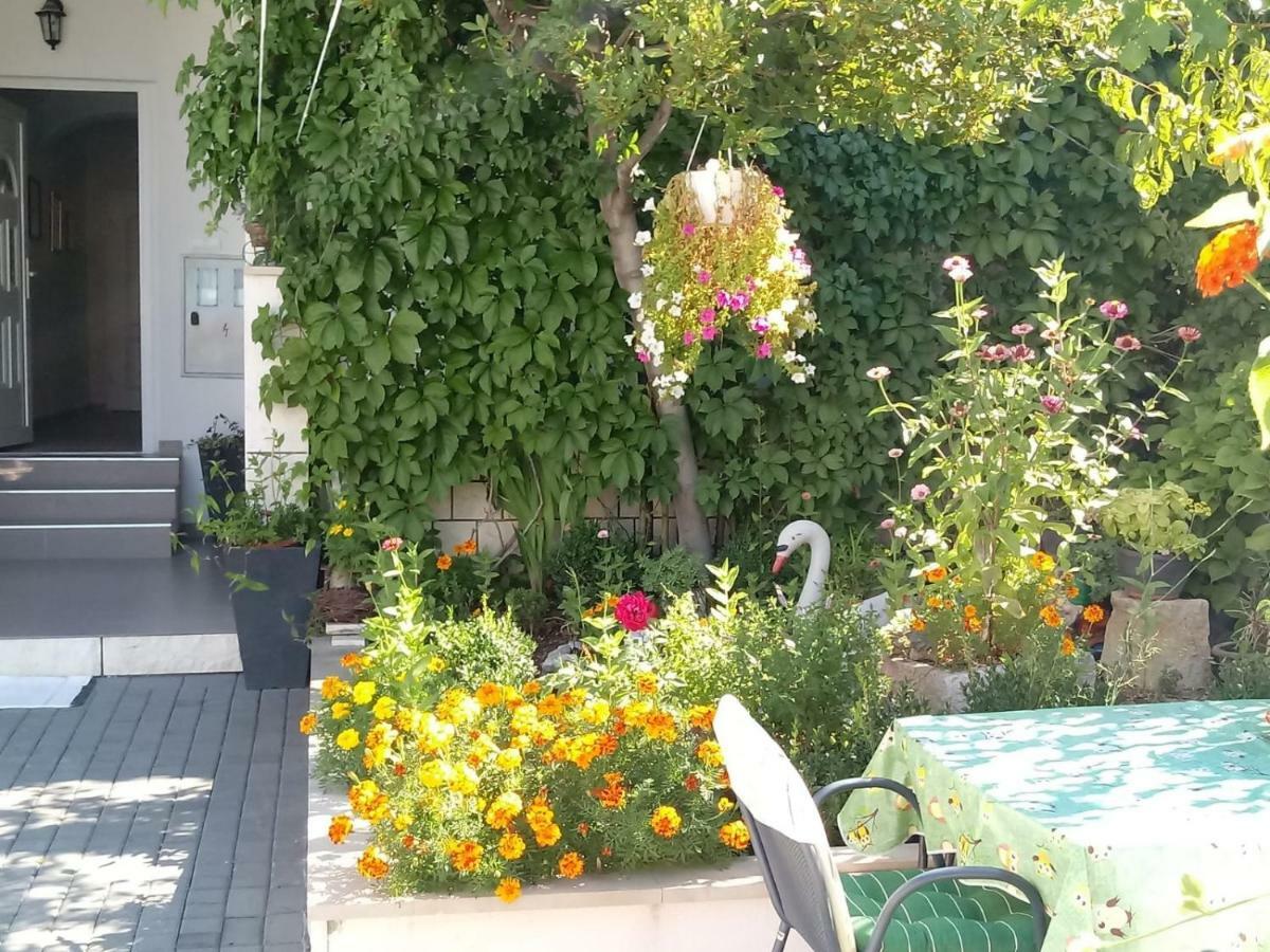 Apartments Centar - Mirjana Makarska Eksteriør billede